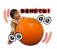 854665716