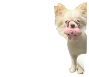 854665906