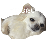 854665908