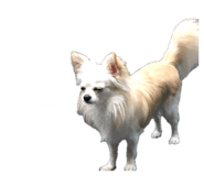 854665916