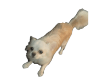 854665922