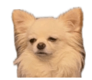 854665932