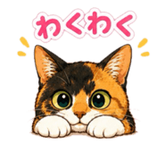 854665963