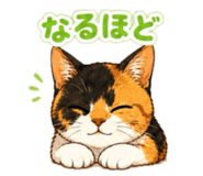 854665966