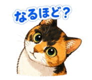 854665967
