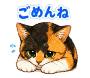 854665969