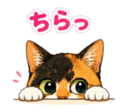 854665970