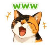 854665972