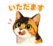 854665975
