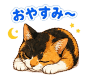 854665976