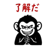 854666033