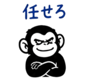 854666035
