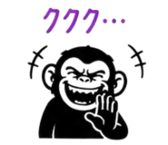 854666037