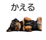 854666466