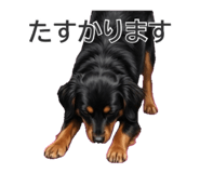 854666467