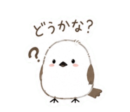 854666597