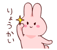 854666913