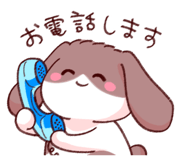 854666931