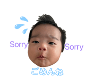 854669944