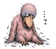 854670023
