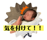 854670246