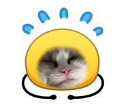 854670455