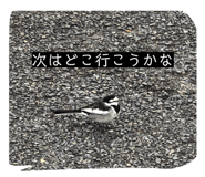 854672961