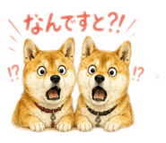 854673289