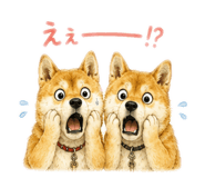854673290