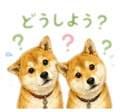 854673295