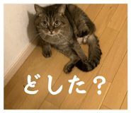 854673760