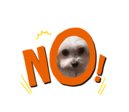 854674136