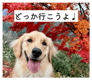 854674354