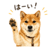 854674418