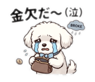 854675114
