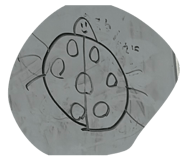 854675718