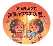 854675805