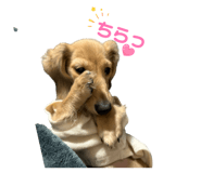 854675944