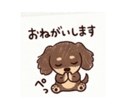 854676227
