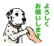 854676255