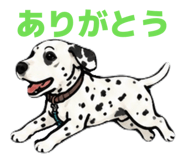 854676256