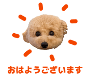 854678601