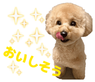 854678606