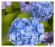 854678698
