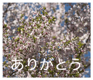 854678701