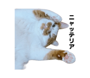 854681029