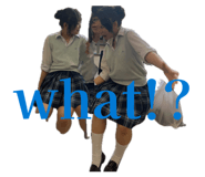 854681362