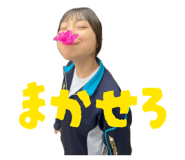 854681377