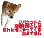 854681487