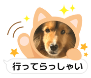 854683419